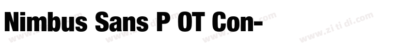Nimbus Sans P OT Con字体转换 Nimbus Sans P OT Con字体转换